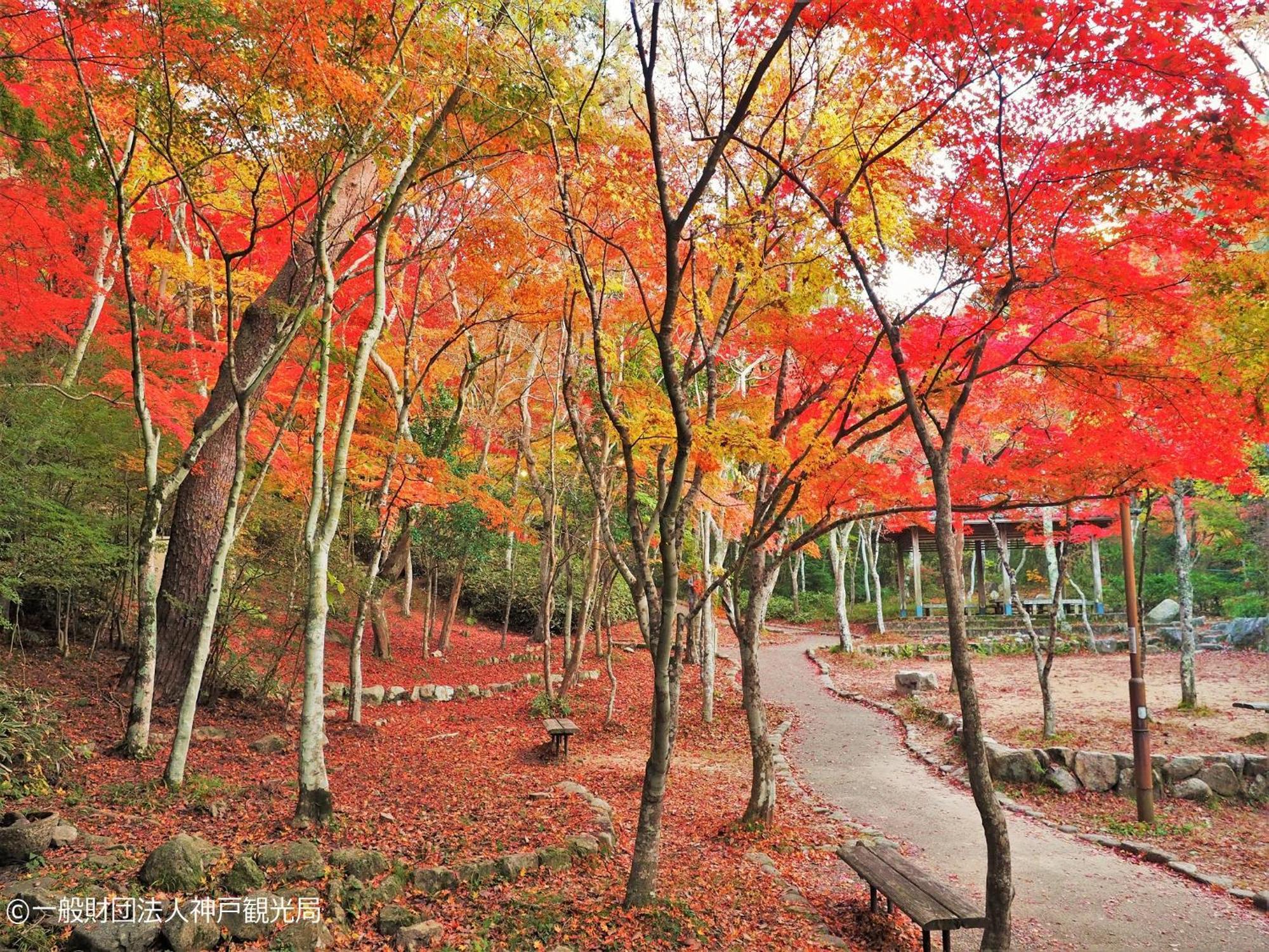 Ryokan Kamenoi Arima